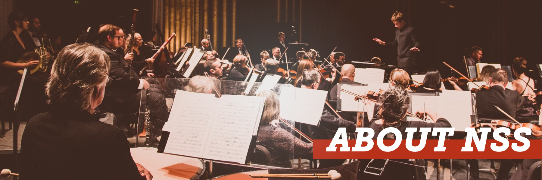 header graphic for "about the north state symphony" web page