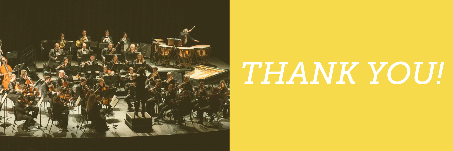 header image for "thank you donors" webpage