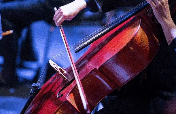 photo of musician playing a cello
